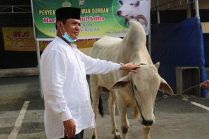 Kapolda Sulteng Berbagi Hewan Qurban