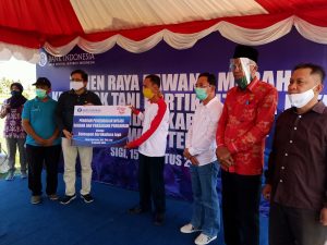 Bagian Dari Program Binaan, BI Perwakilan Sulteng Bersama Pemkab Sigi Panen Raya Bawang Merah