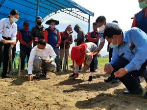 Baru Sehari Dilantik, Wabup Sigi Langsung Hadiri Kegiatan Tanam Perdana Bibit Jagung