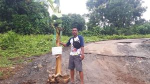 Pemuda Di Morut Ini Tanam Pohon Pisang Ruas Jalan Korolama – Koromatantu
