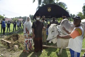 Sambut Idul Adha 1442 H, Jajaran Polres Sigi Sembelih 8 Ekor Sapi dan 6 Ekor Kambing