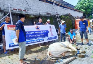 NasDem Sulteng Gelar Pemotongan Hewan Qurban