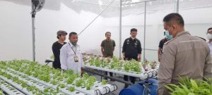Bersama Mentan RI, Sesba KP Anas Yalitoba Kunjungi Urban Farming ‘Green House’ di Makassar