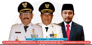Capaian Program Pemda Parigi Moutong Kurun Waktu 2021