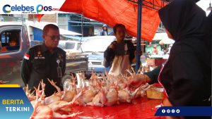 Badan Pangan Nasional (National Food Agency NFA) Monitoring 9 Bahan Pokok dan Minyak Goreng H-2 Idul Fitri 1443 H