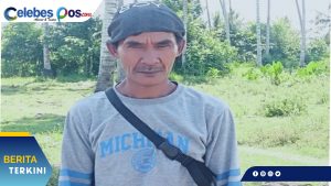 Kelompok Tani di Sigi Minta Pengawasan Ketat Pupuk Bersubsidi