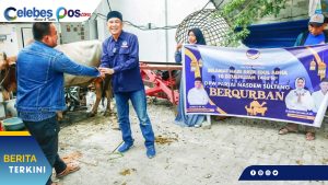 Momen Idul Adha, NasDem Sulteng Bagikan 12 ekor Sapi