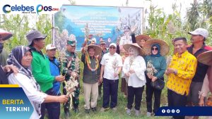 Badan Pangan Nasional Tanam dan Panen Hasil Sorgum di Tinombo Selatan