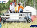 Mentan SYL Panen Raya Padi di Sidera Sigi