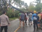 TNI – Polri Bersama BPBD Evakuasi Pohon Tumbang Di Jalan Raya Jurang Jaler-pegadang