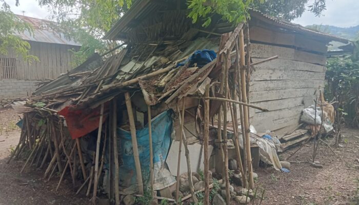 Dapur Rubuh, Hidup Seadanya: Kisah Ibu Marni Warga Desa Bangga