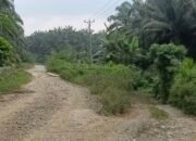 WARGA DESA NGOVI KELUHKAN JEMBATAN RUSAK, PEMERINTAH DAERAH DAN PROVINSI DIMINTA SEGERA BERTINDAK