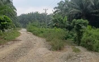 WARGA DESA NGOVI KELUHKAN JEMBATAN RUSAK, PEMERINTAH DAERAH DAN PROVINSI DIMINTA SEGERA BERTINDAK