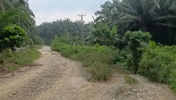 WARGA DESA NGOVI KELUHKAN JEMBATAN RUSAK, PEMERINTAH DAERAH DAN PROVINSI DIMINTA SEGERA BERTINDAK